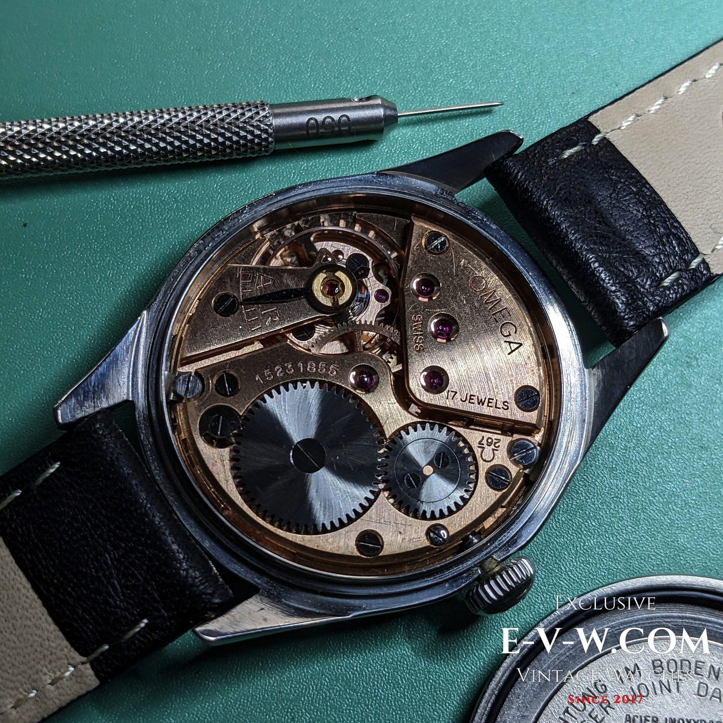 69 Years Old Omega Bullseye | Ref. 2891-1 | Cal. 267 | Vintage 1956 | Serviced