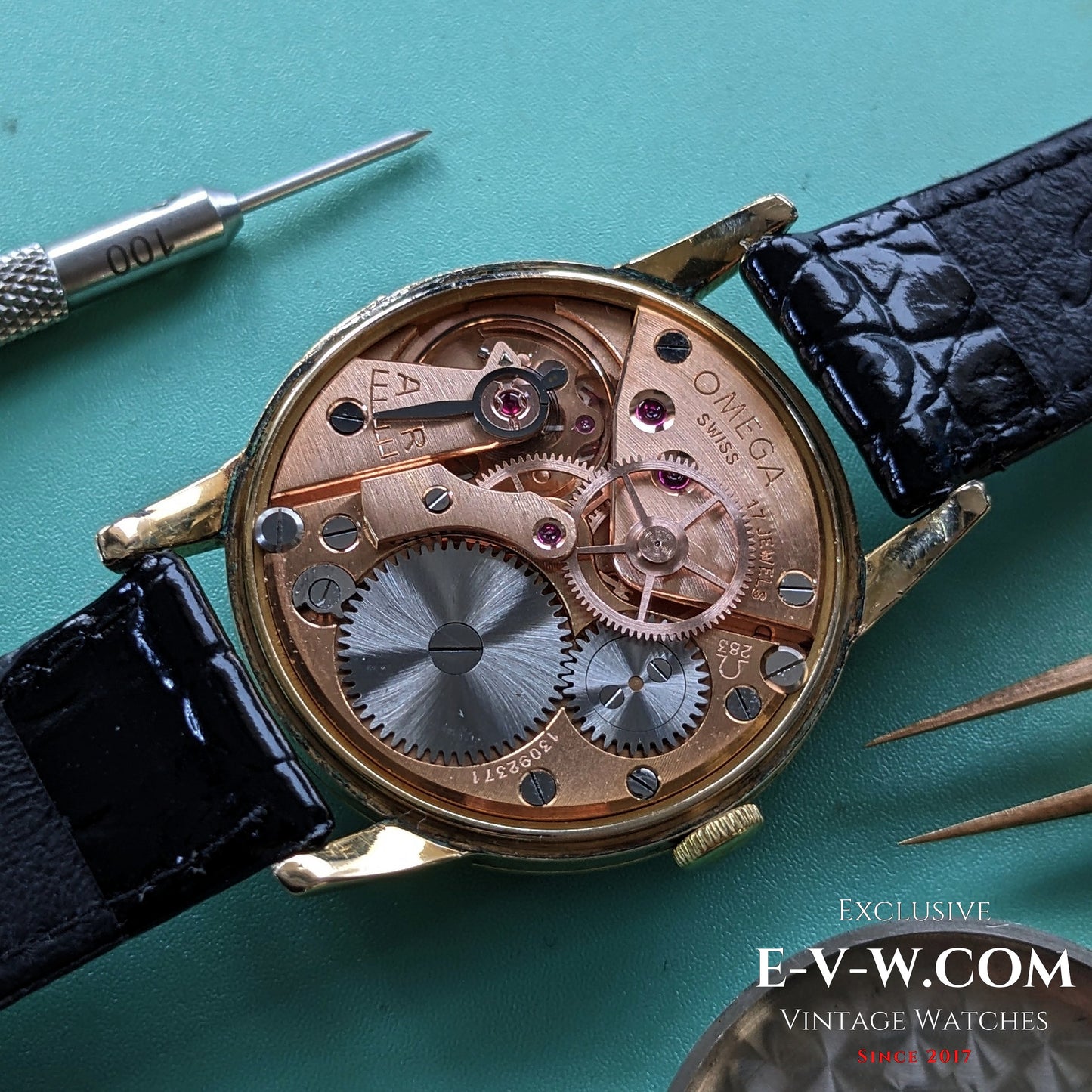 73 Years Old Vintage Omega Rare 24 HR Dial /Ref. 2496-3SC / Cal. 283 (30T2) / Vintage 1952/ Serviced
