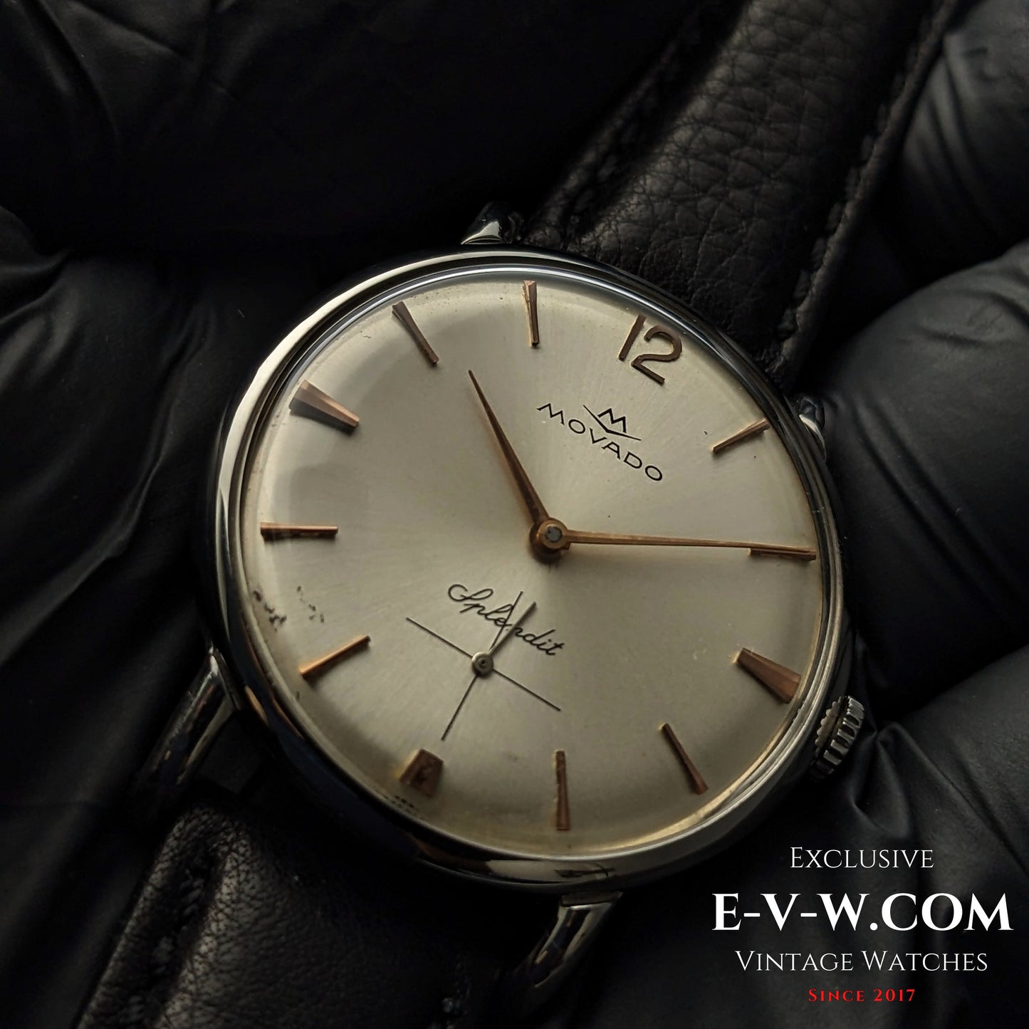 85 Years Old Vintage Movado Splendid / Cal. 125 / Vintage 1940