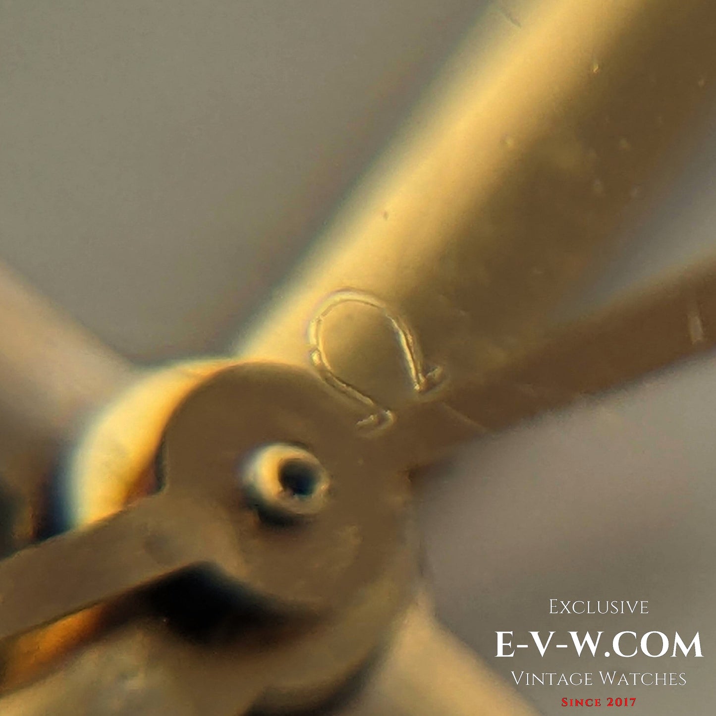 59 Years Omega Seamaster 600 / Vintage 1964
