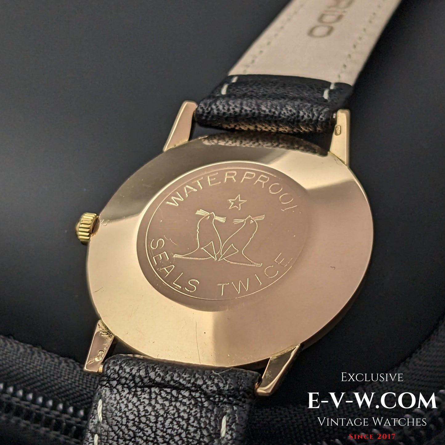 Zenith 18K Gold / Black Dial / Cal.2532 SC / Vintage 1964