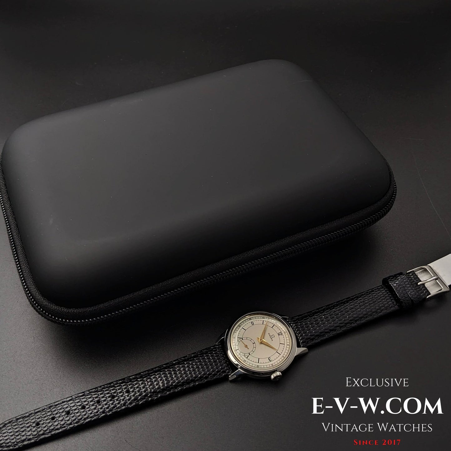 Omega cal 269 (30T2 family) / Sector Dial / Vintage 1963