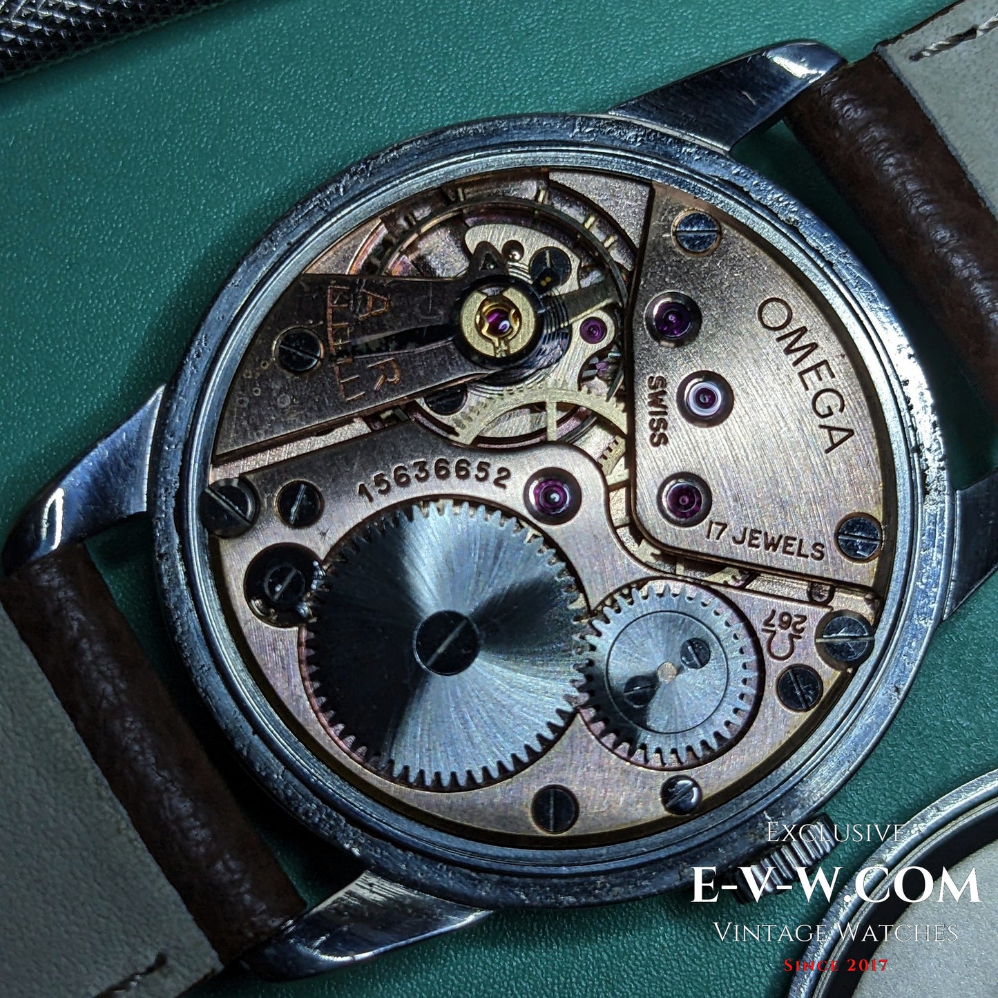 69 Years Old  Omega Genève | Ref. 2903-3 | Cal. 267 | Vintage 1956 | Serviced