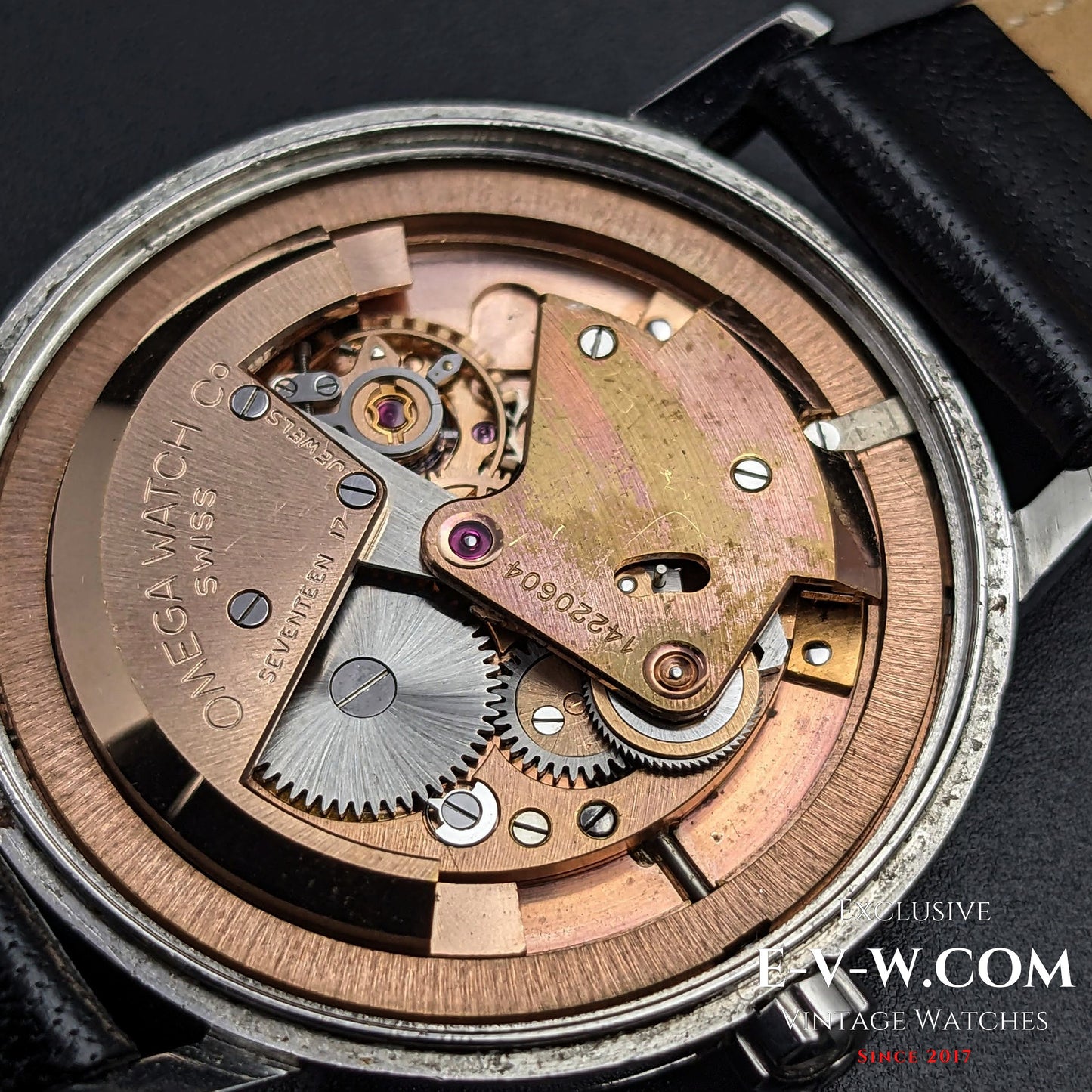 69 years old Omega Seamaster Automatic Bumper / Vintage 1954 / Ref 2807-1 / cal.332 /  Vintage Honeycomb Dial