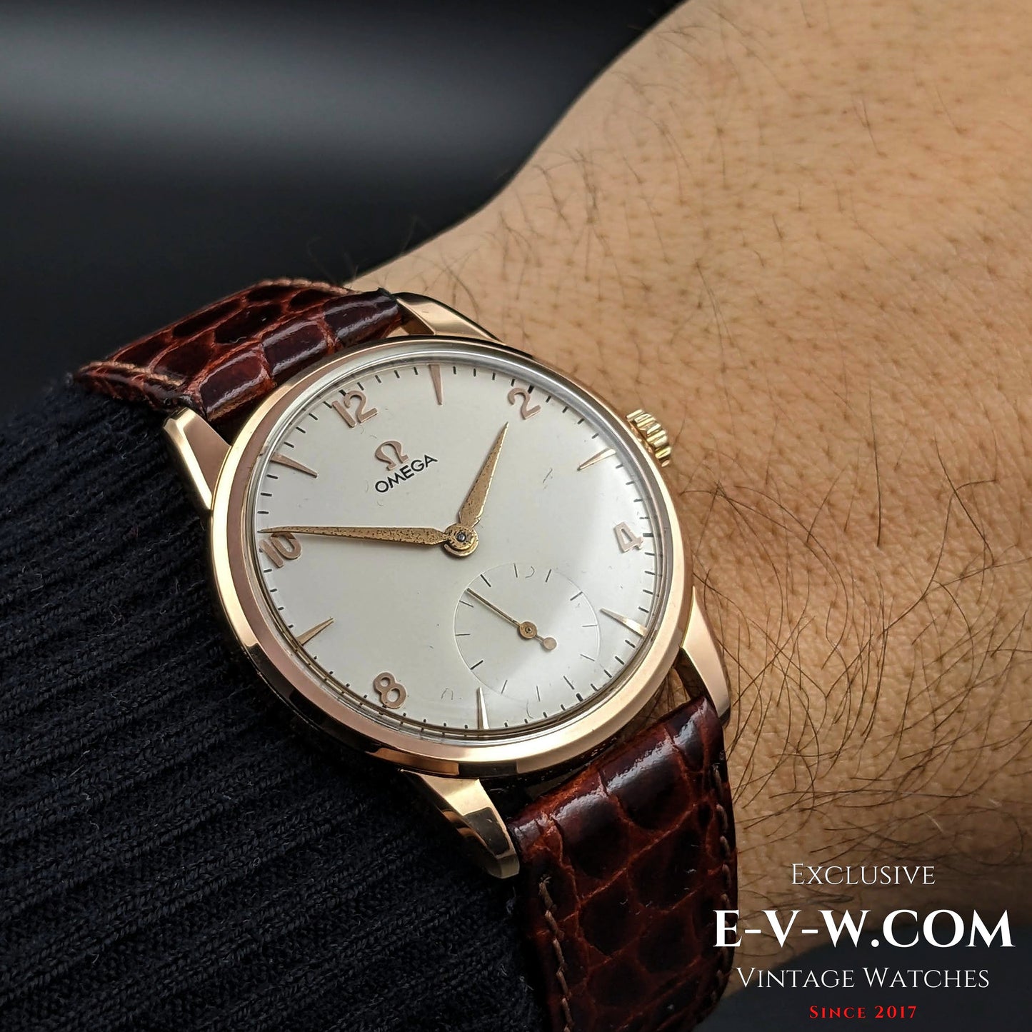 Omega Gold Plaque  / Ref 2605 / cal. 265 (30T2) Vintage 1954