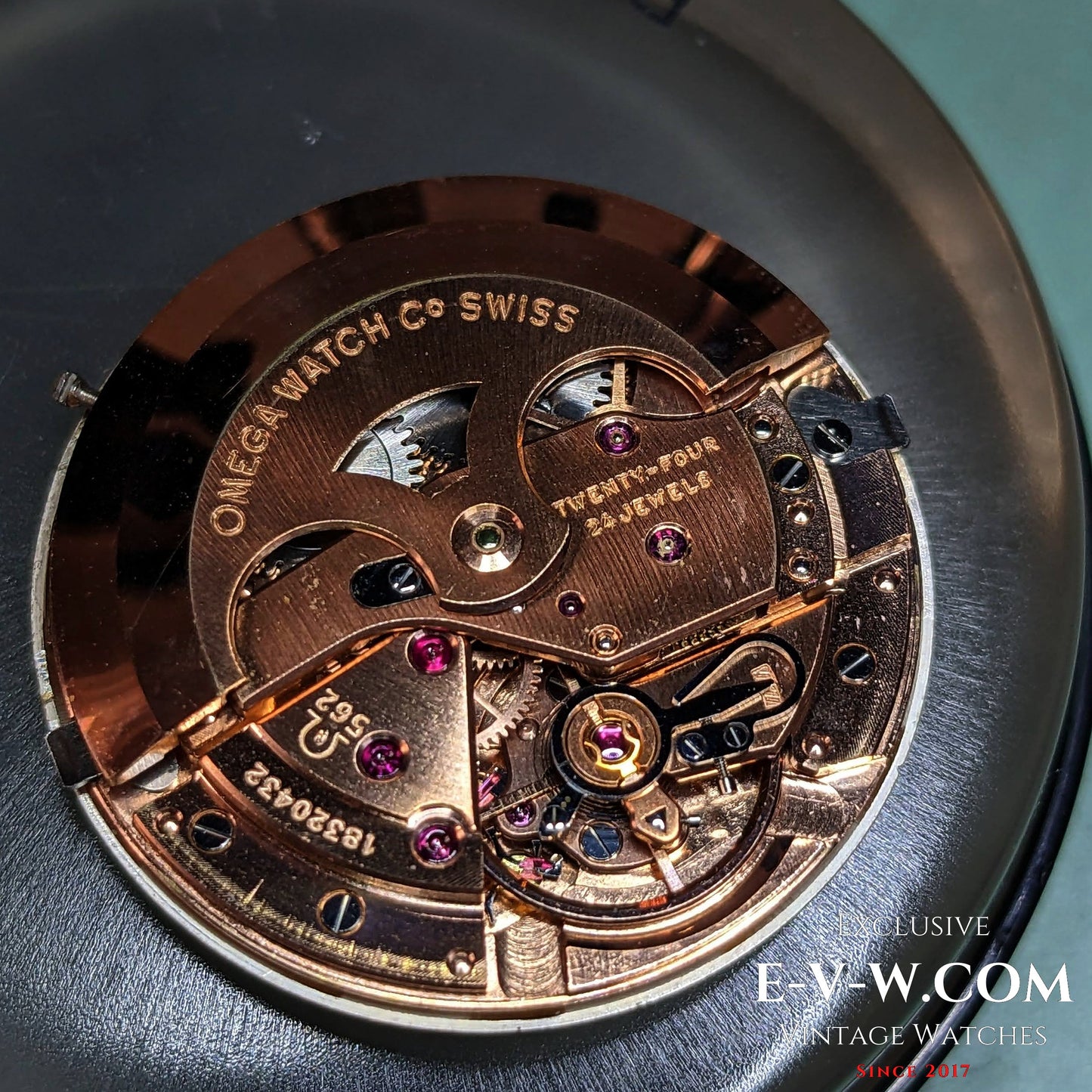 Omega Seamaster Automatic Ref 14770-2SC / cal.562 / Vintage 1961