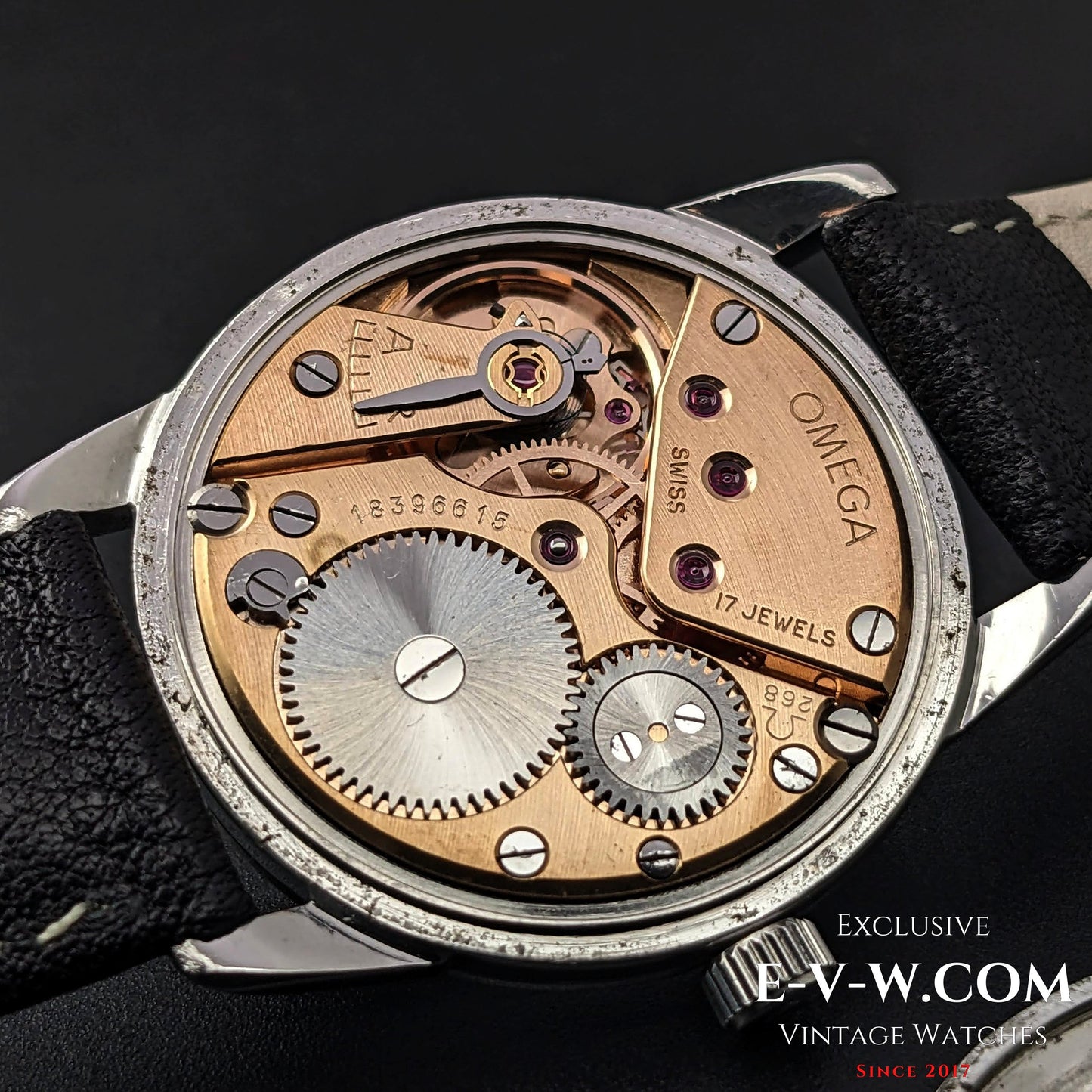 Omega Geneve Bull's Eye Dial  / ref 2903-17 /cal 268 (30T2 Familly) / Vintage 1961