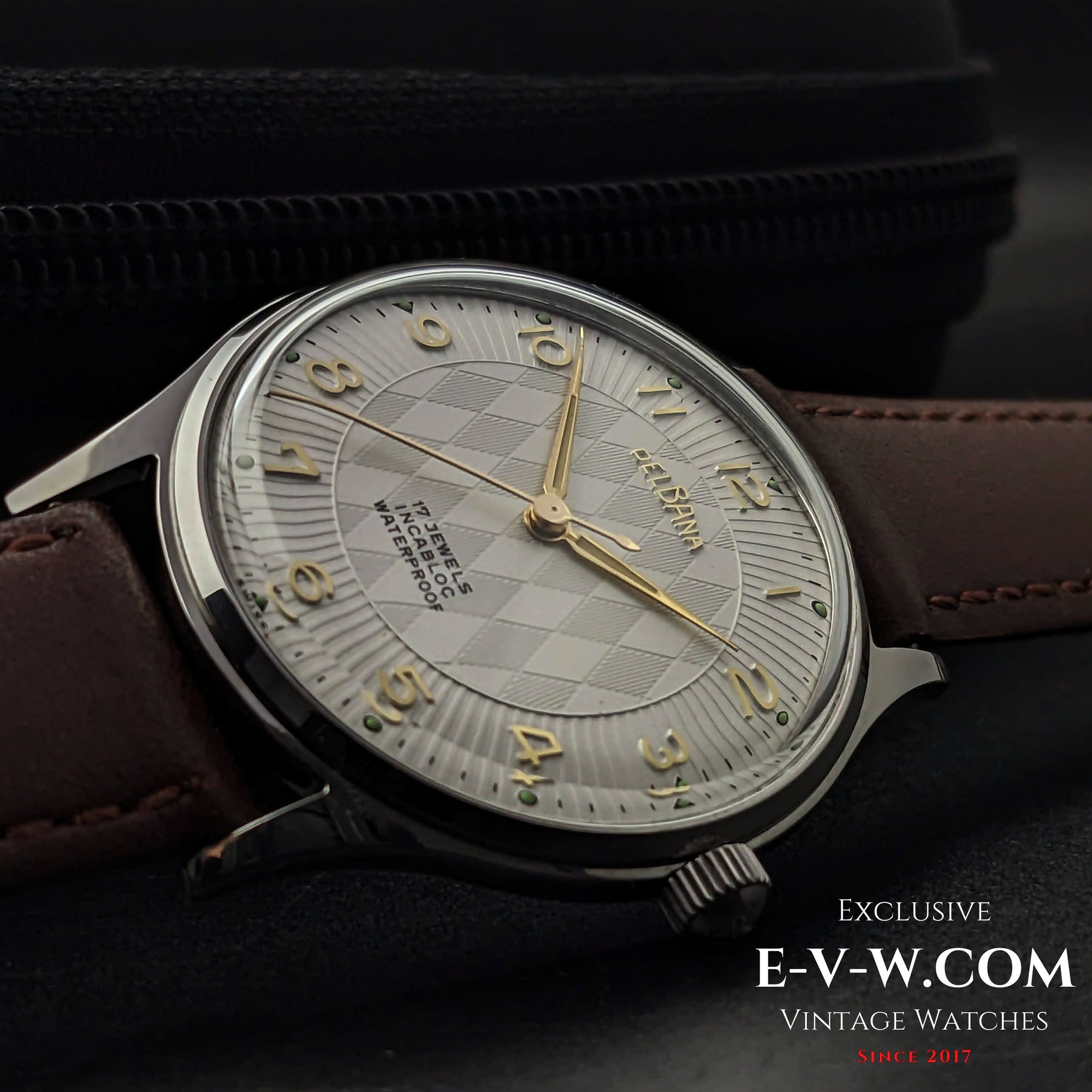54 Years Old Vintage Delbana Vintage / Cal. 645N / Vintage 1970