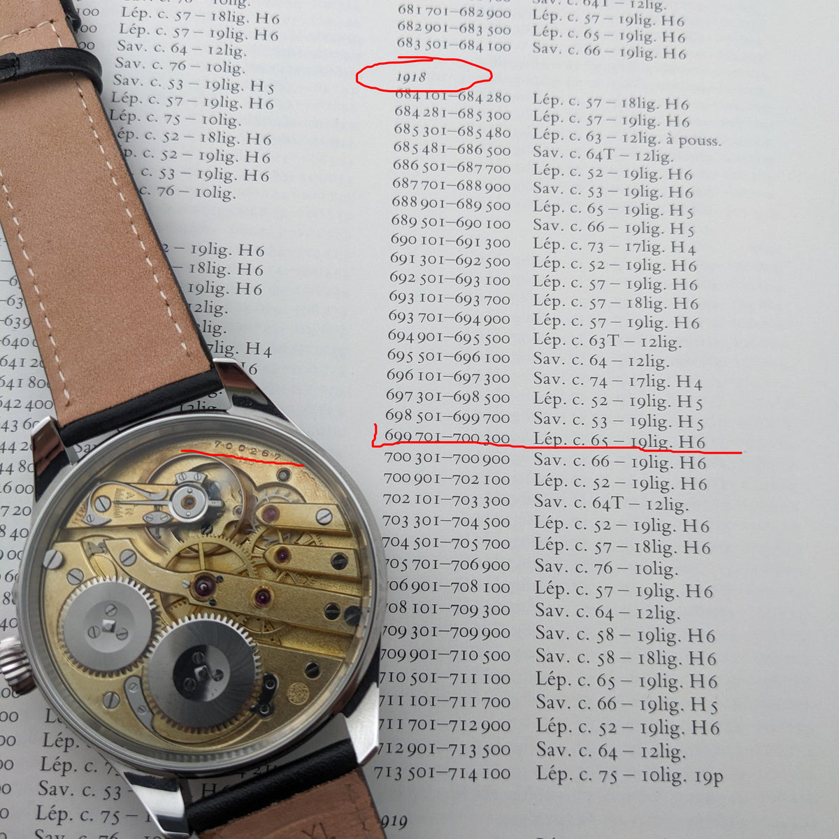 IWC Schaffhausen कलाई घड़ी मुद्रित संदर्भ पृष्ठों पर प्रदर्शित, पारदर्शी बैक के माध्यम से इसका गिल्ट मूवमेंट दिखाता हुआ।