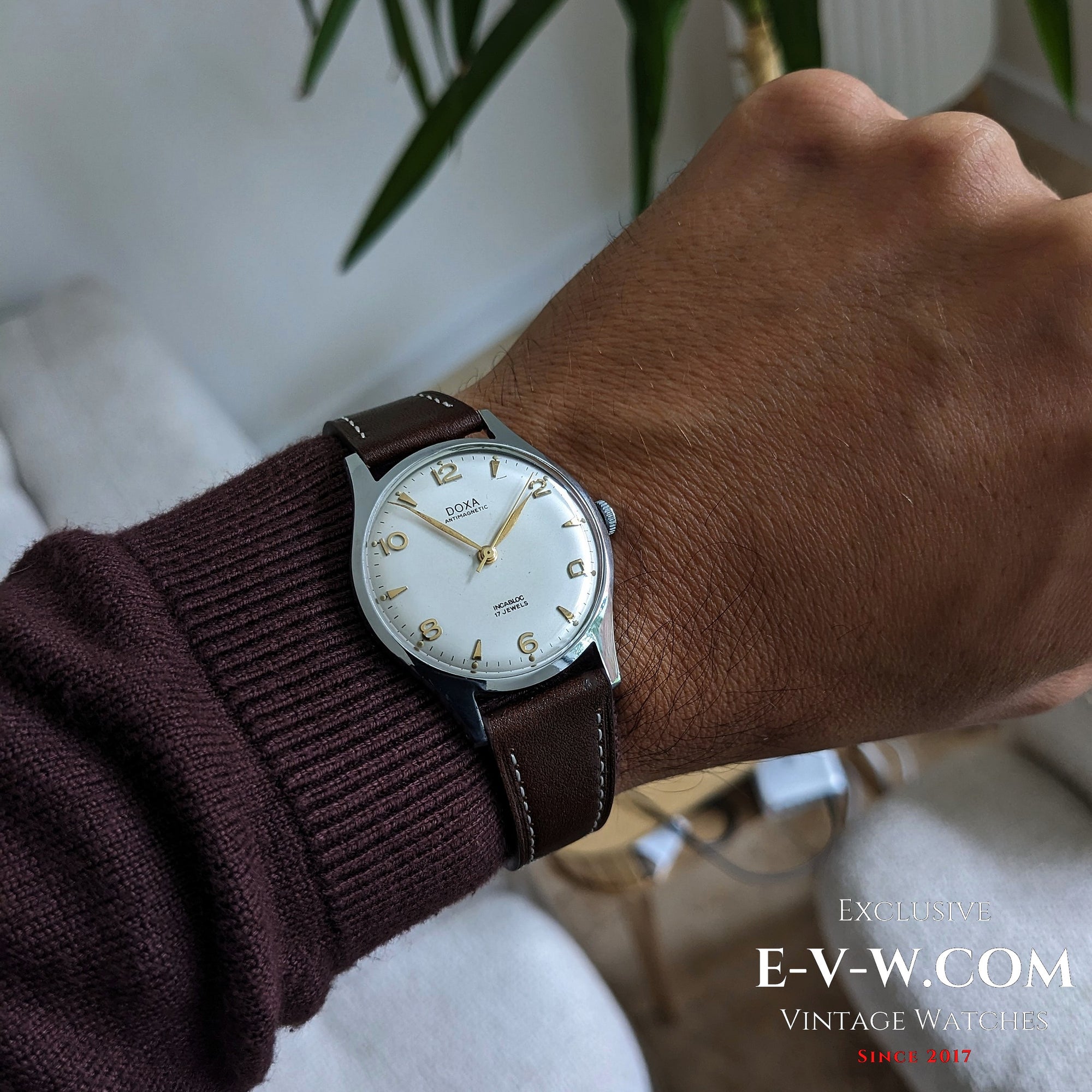 Jaren 1950 — DOXA — Antimagnetisch — Kaliber .380 FFR — Vintage jaren 1950 — Onderhouden
