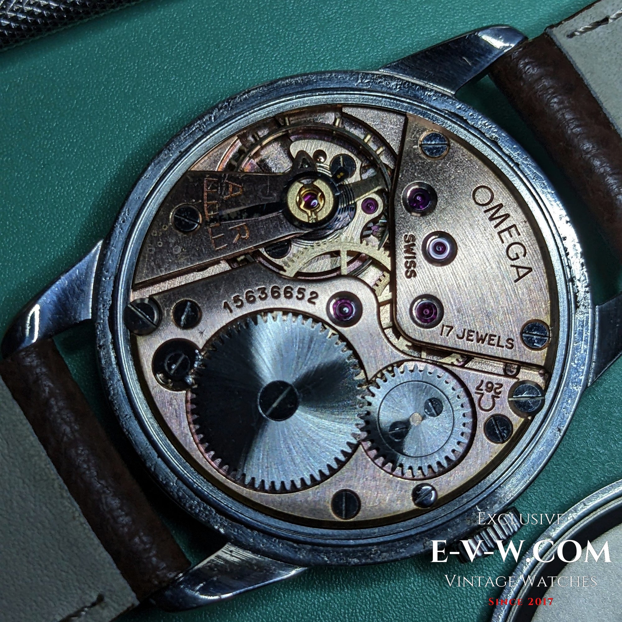 Omega Genève di 69 anni | Rif. 2903-3 | Cal. 267 | Vintage 1956 | Revisionato
